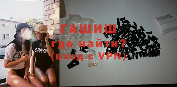 мдпв Инсар
