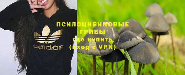 каннабис Каменка