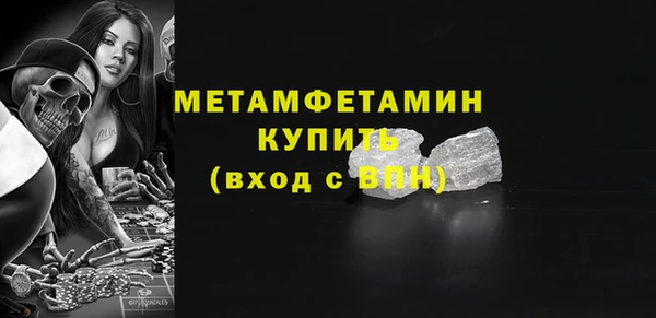 мдпв Инсар