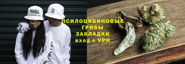 дмт Каменногорск