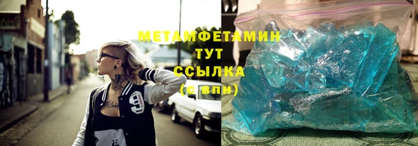 мдпв Инсар